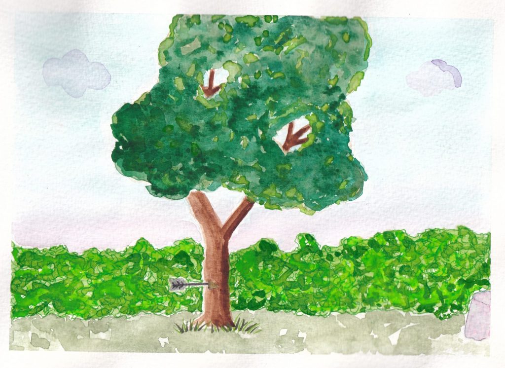 An arrow sticks out of a large tree, the tree has a hedge behind it but it also has what looks to be a table nearby.